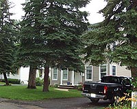 Shade Trees Can Reduce Power Bills By 11.4 Percent
