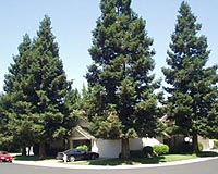 Home Energy Savings Are Made In The Shade