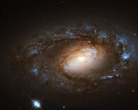 Hubble Spies Charming Spiral Galaxy Bursting with Stars