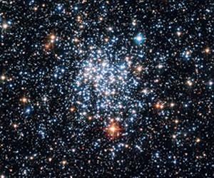 How single stars lost their companions