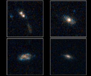 Most Quasars Live on Snacks, Not Large Meals