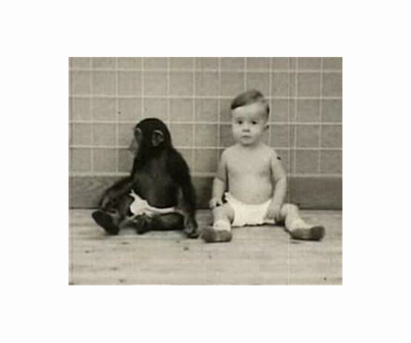 Scientists grow human-monkey chimeric embryos in lab