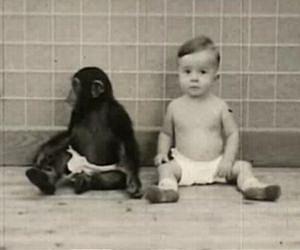 Study suggests methylation and gene sequence co-evolve in human-chimp evolutionary divergence