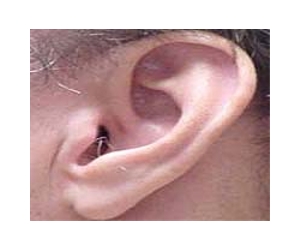 Nasty noises: Why do we recoil at unpleasant sounds