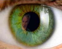 How Vision Sends Its Message To The Brain