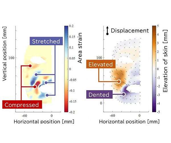 How human faces can teach androids to smile