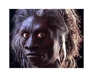Scientists study the Hobbit's brain