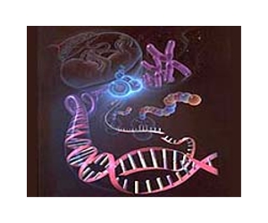 Mapping a genetic world beyond genes