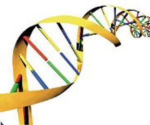 DNA helicity and elasticity explained on the nanoscale