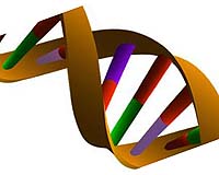 Unravelling New Complexity In The Genome