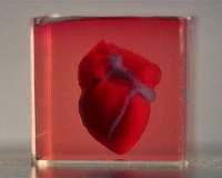Tel Aviv University scientists print first 3D heart using patient's biological materials