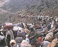 World must prepare for mass climate migration: IOM