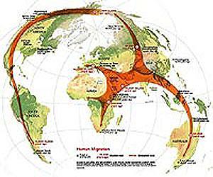 Hitchhiking virus confirms saga of ancient human migration