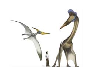 Flying Texas Reptile: World's Oldest Pteranodon