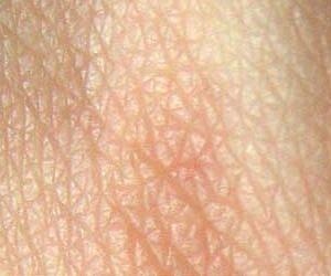 Circadian rhythms in skin stem cells protect us against UV rays