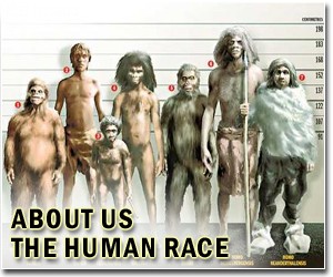 Genetics suggests early human relatives made impressive migrations