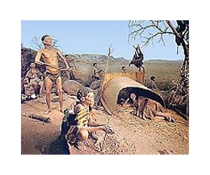 Link Between 'Climate Footprints' And Mass Mammal Extinction