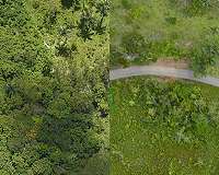 NASA Surveys Hurricane Damage to Puerto Rico's Forests