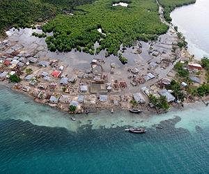 Cholera could kill 10,000 in Haiti in the next year: expert