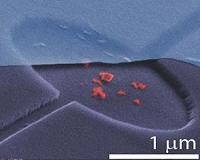 Nano-photonics meets nano-mechanics