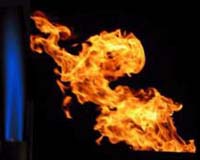 China Holdings Announces Second Biomass Renewable Energy Project