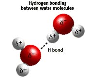 Unique Approach For Splitting Water Into Hydrogen And Oxygen