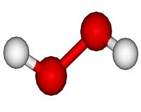 Study: Plants use hydrogen peroxide as sunscreen