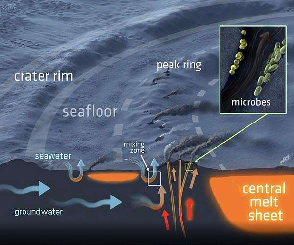 A subterranean ecosystem in the Chicxulub Crater