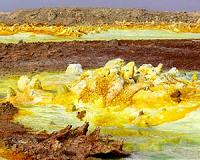 Hydrothermal systems show spectrum of extreme life on Earth