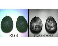 Affordable camera reveals hidden details invisible to the naked eye