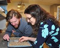 Ancient herring catch nets fisheries weakness