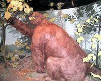 Ancient sloths became big-bodied very quickly