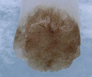 Micro-gels from tiny Arctic and Antarctic ice algae play an important role in polar ocean carbon budgets