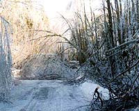 At least 11 dead as ice storm sweeps central US