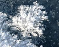 Study predicting 'mini ice age' is being second-guessed