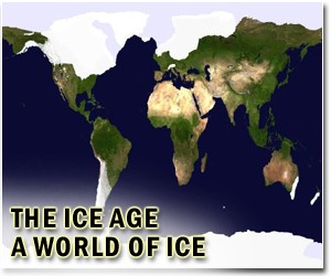 China's glaciers in meltdown mode: study