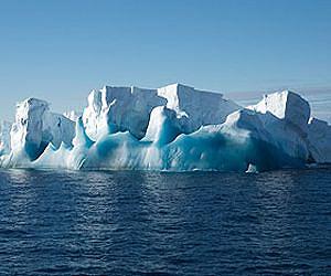 New species found in deep antarctic waters