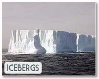 Australia shipping alert over massive Antarctic iceberg