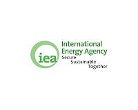 Volatile start for oil prices after mixed IEA report