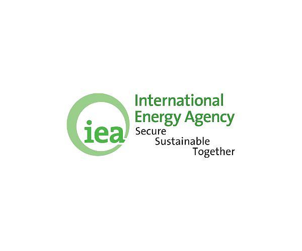 Europe could face gas shortage next year: IEA