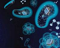 Unlocking the biochemical treasure chest within microbes