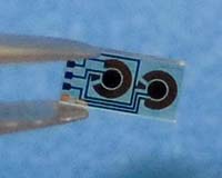 Clemson University To Develop Implantable Biochip For Department Of Defense