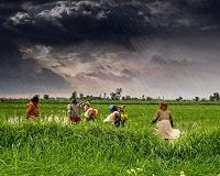 Dispatches from the wettest place on earth