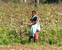 Fighting Global Warming Offers Growth And Development Opportunities