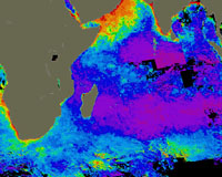 Indian Ocean buoys help predict monsoon: scientists