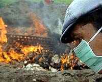 Bird flu suspected in girl's death