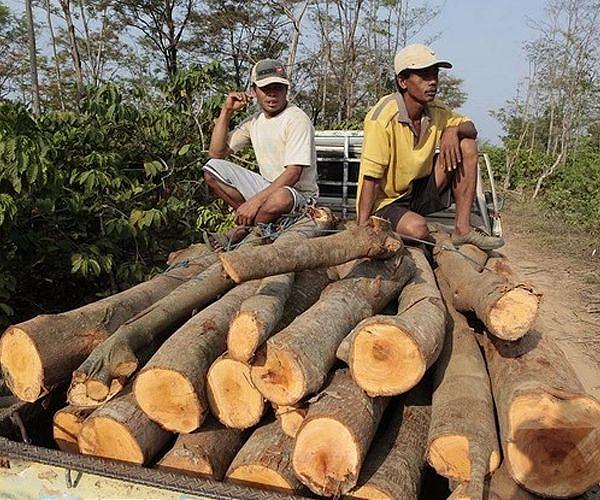 Deadly Indonesia floods force a deforestation reckoning