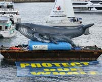 Greenpeace urges Australian PM to lobby Japan on whaling