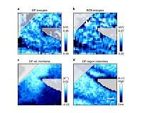 Influential electrons? Physicists uncover a quantum relationship