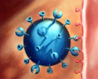 Swine flu infects cells deep in lungs: study
